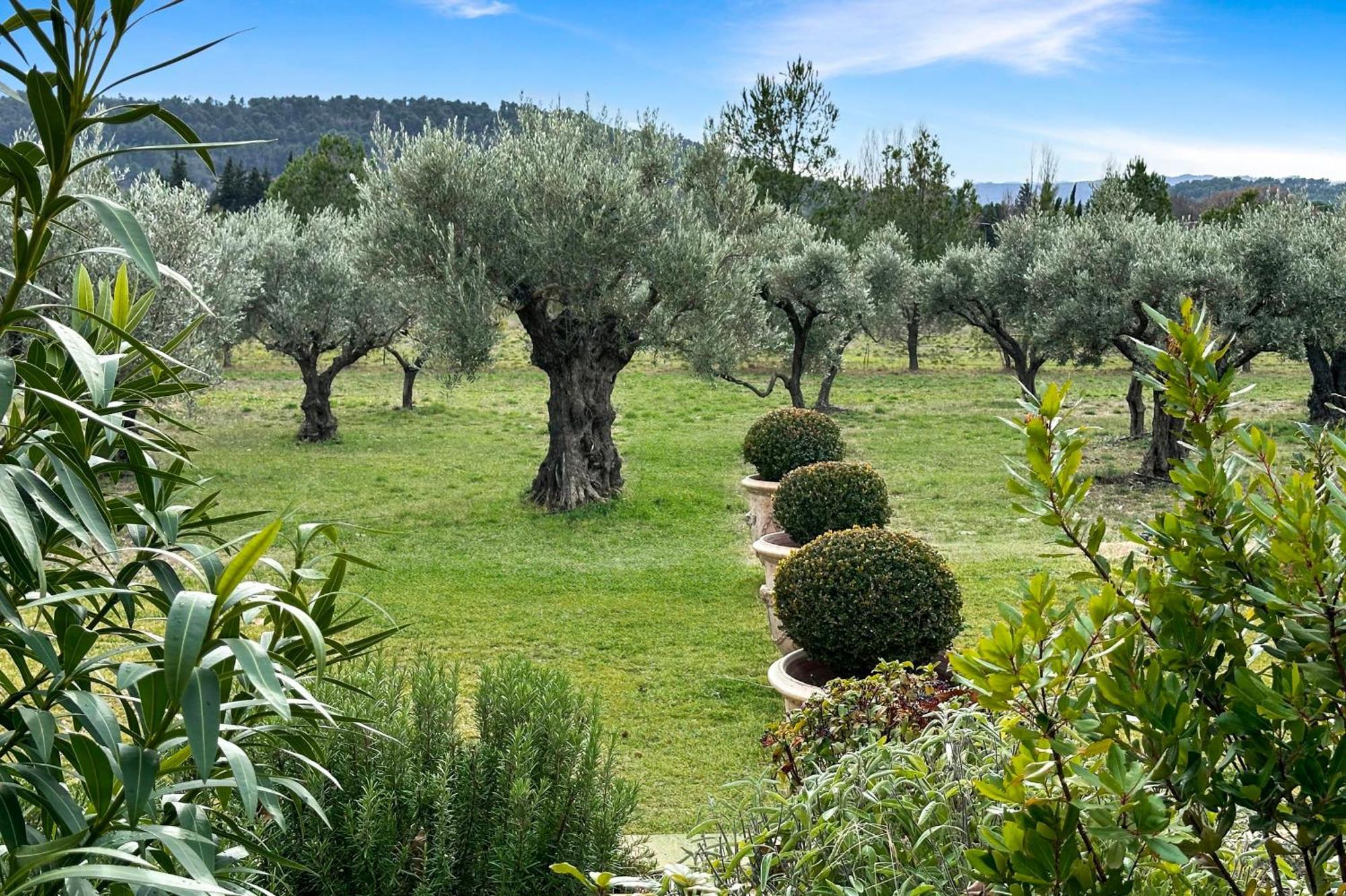 Appartement I Bastide La Graviere I Electio Lourmarin Exteriör bild